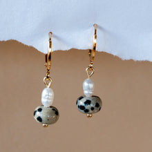 Load image into Gallery viewer, Mini Dalmatian Jasper/Pearl Huggies
